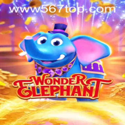 Discovering WonderElephant: An Immersive Gaming Experience